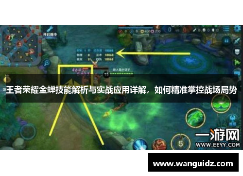 王者荣耀金蝉技能解析与实战应用详解，如何精准掌控战场局势